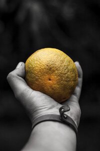 Orange black and white Free photos