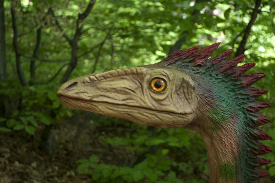 Outdoors tree dinosaur