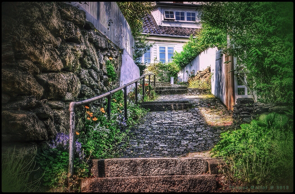 Rise landscape out