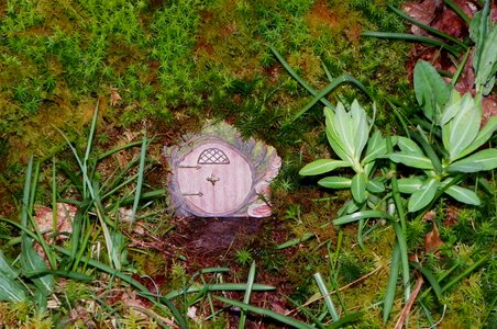 Fairy door green door