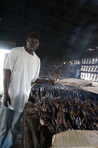 White black black man worker photo