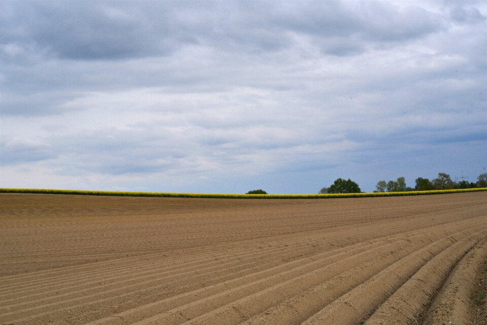 Arable agriculture field