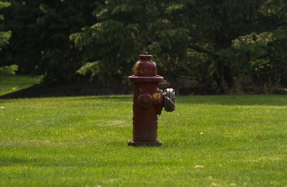 Park lawn outdoors