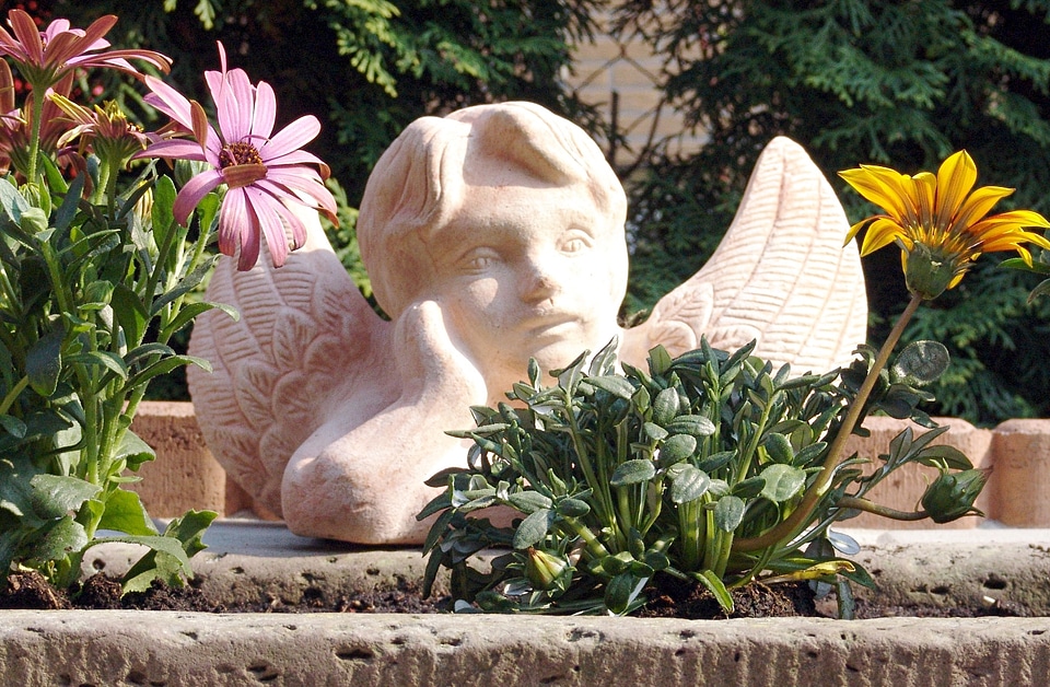 Garden figure flower
