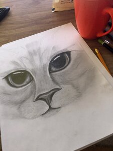 Szkicowac to draw pencils