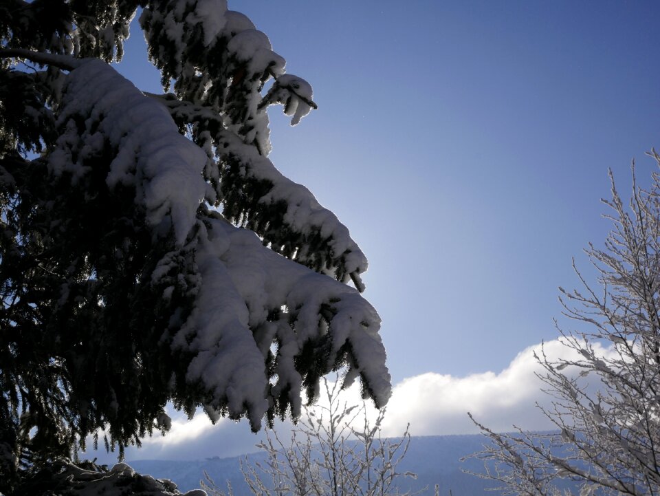 Outdoors nature sky