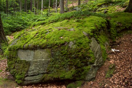 At the court of no one rock
