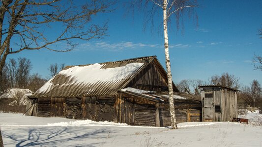 Winter nature landscape