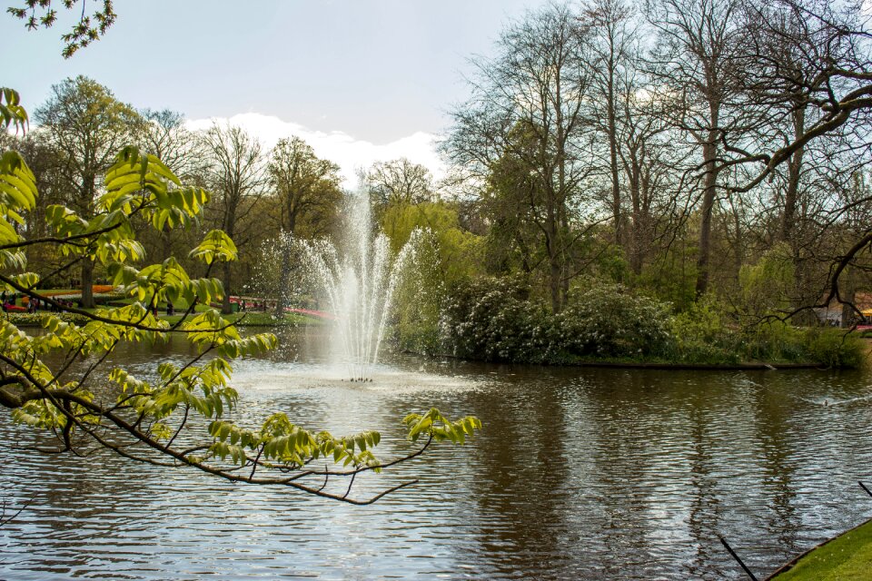 Park nature spring