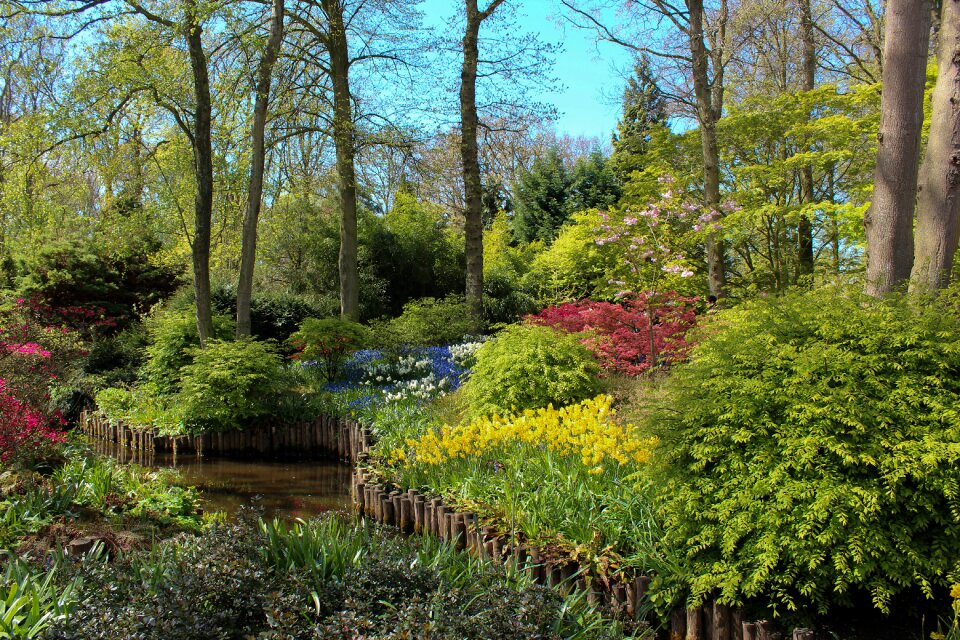Landscape keukenhof spring