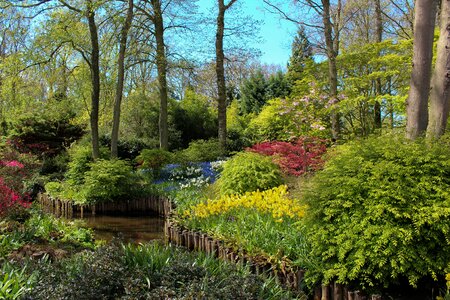 Landscape keukenhof spring