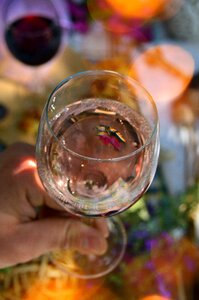 Healthy color wine