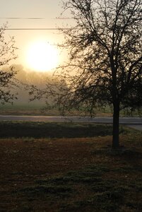 Sun dawn tranquil