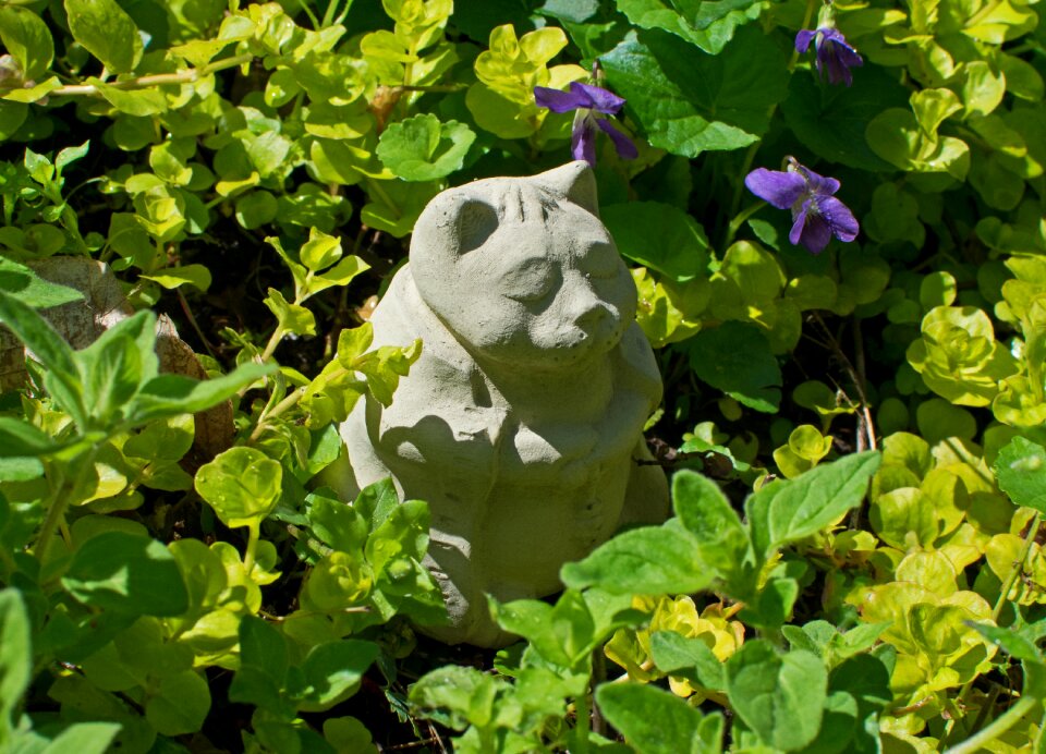 Art garden foliage