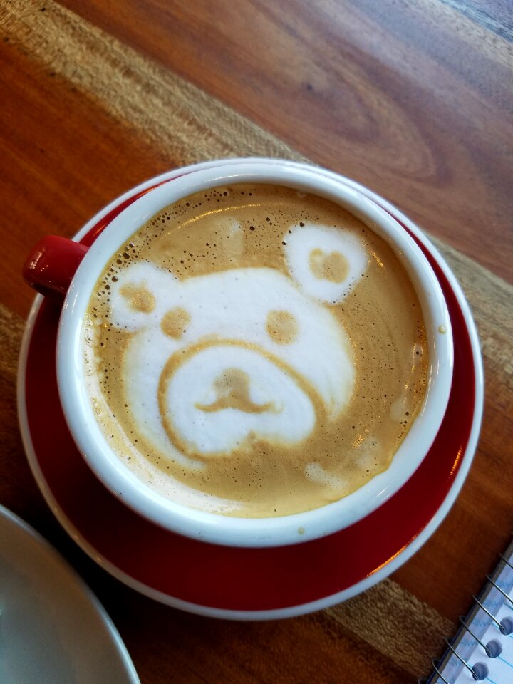 Cappuccino drink cafe photo