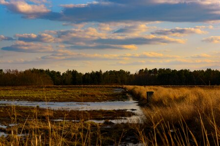 Outdoors reflection bog