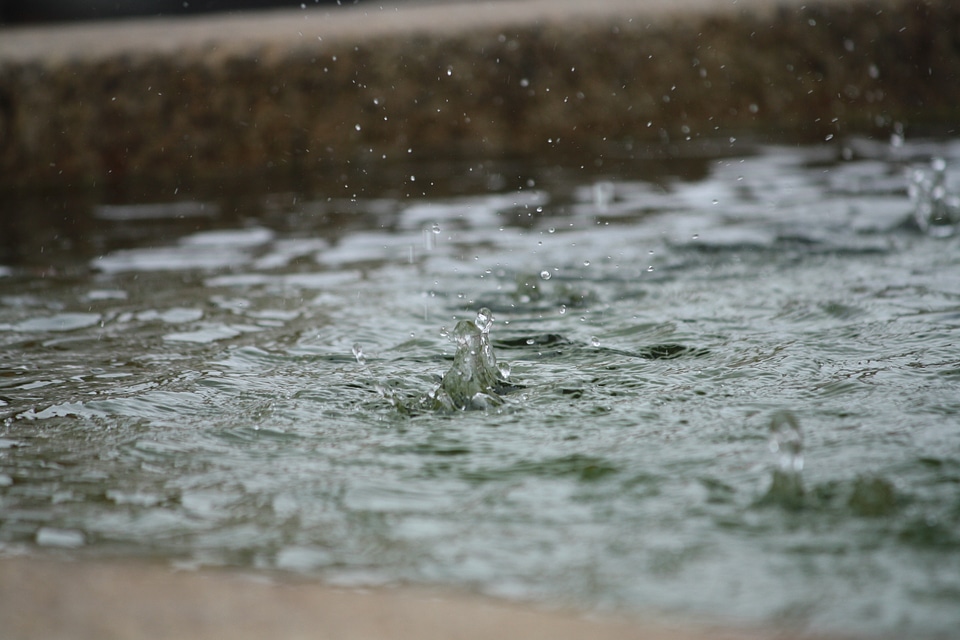 Liquid fresh close-up