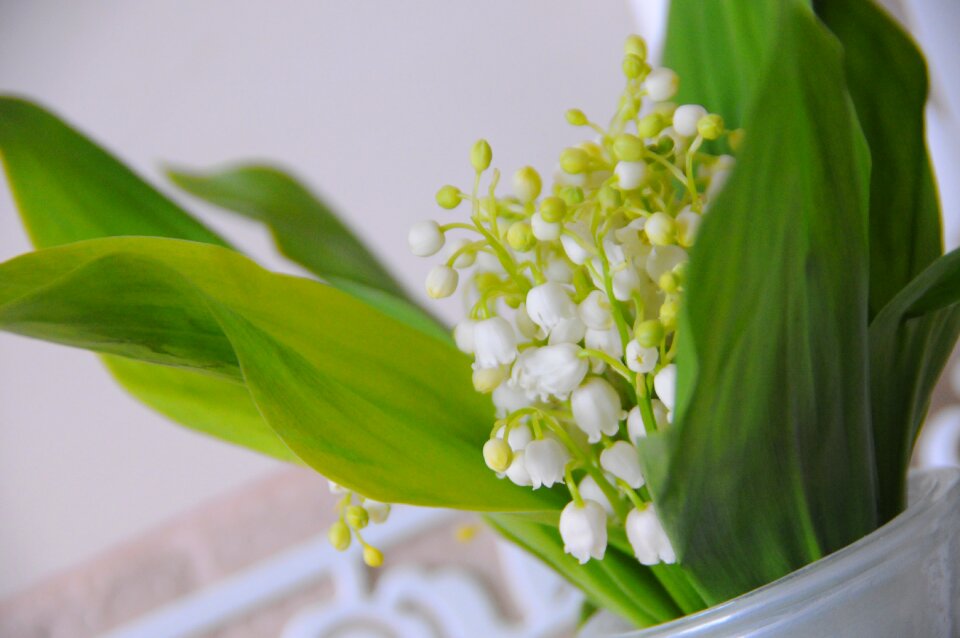Flower husk freshness