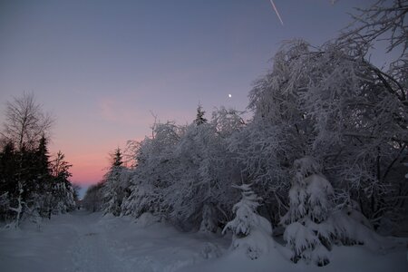 Winter cold frost