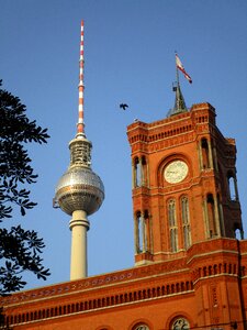 Berlin bird capital photo
