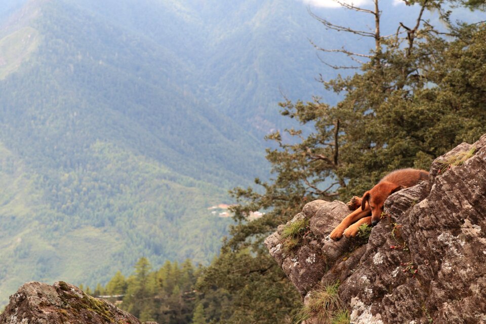Landscape outdoors travel