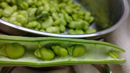 Sheath haba healthy