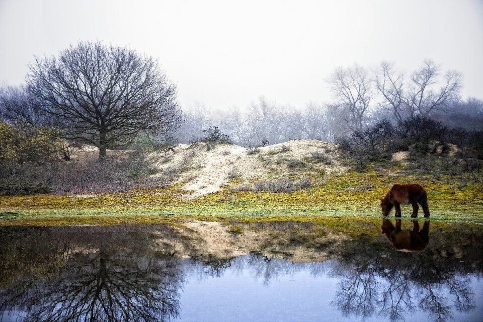 Outdoors reflection horizontal plane photo