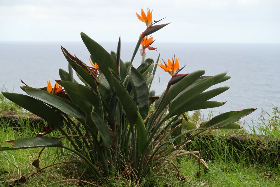 Tropical summer outdoors