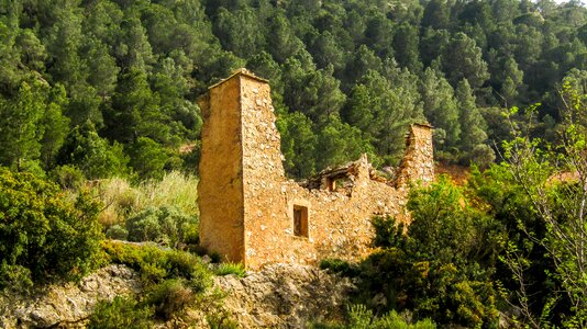 Tree architecture travel