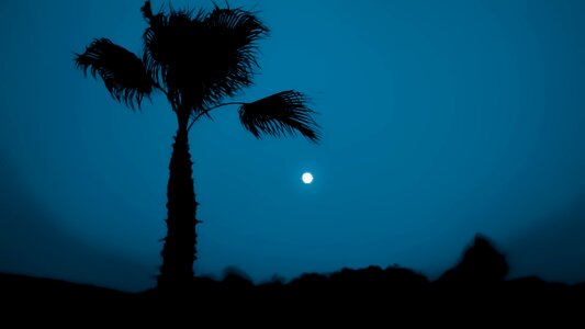 Night moon nature photo