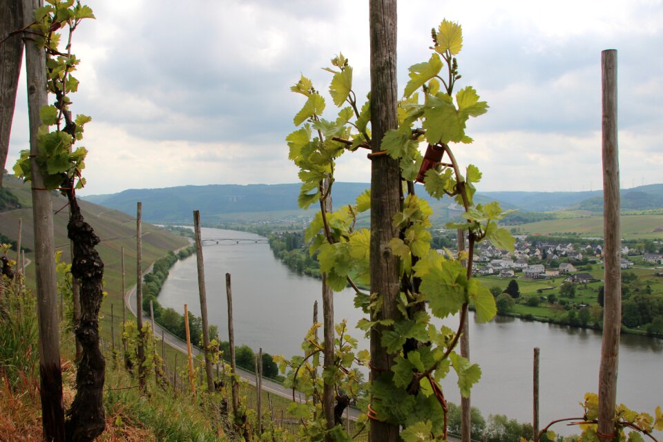 Schweich spring view
