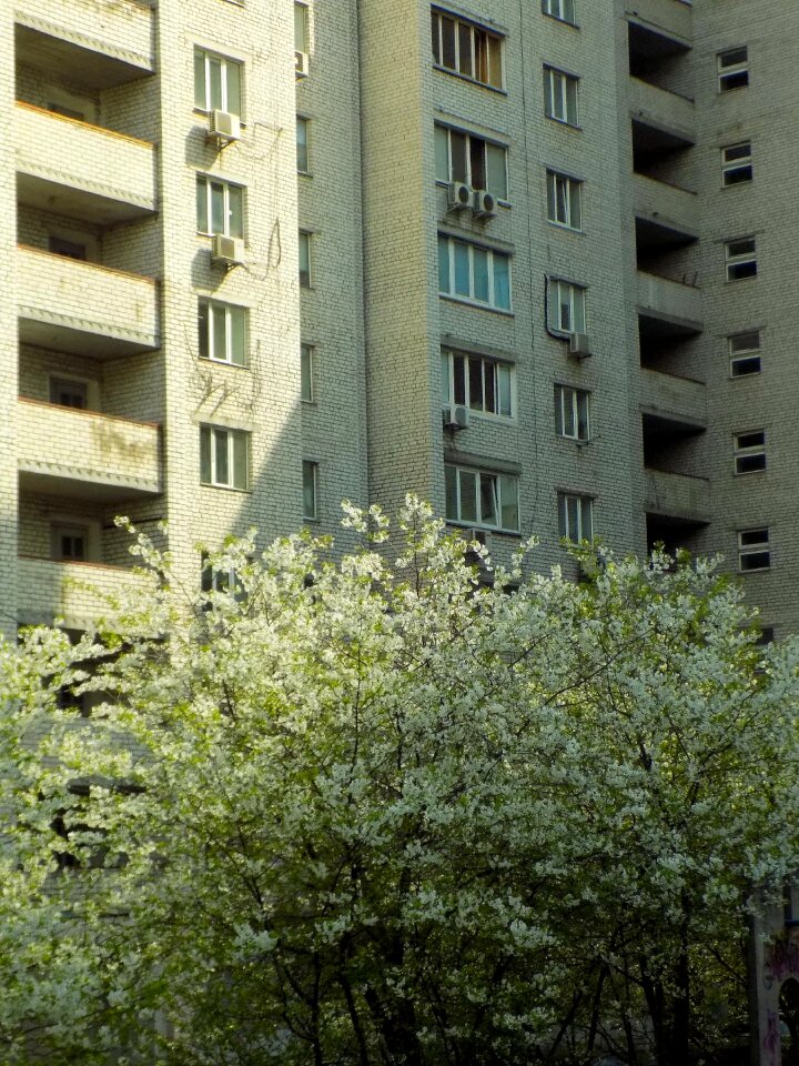 Outdoors building house