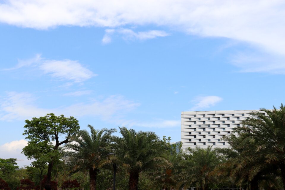 Nature summer south hkust