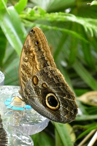 Blijdorp rotterdam nature