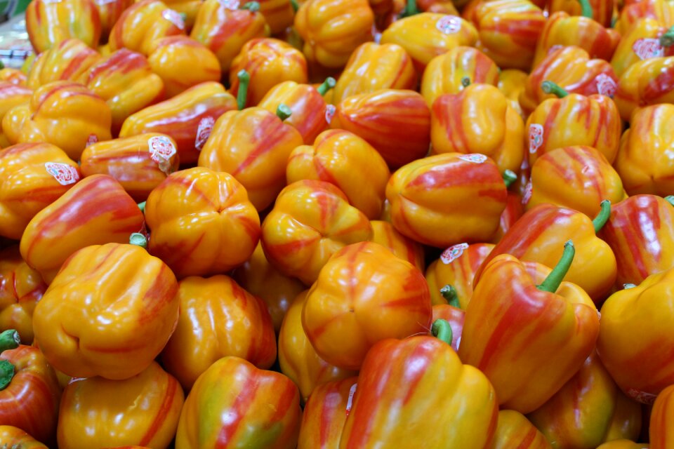 Healthy vegetable rainbow peppers