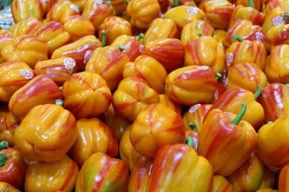 Healthy vegetable rainbow peppers photo