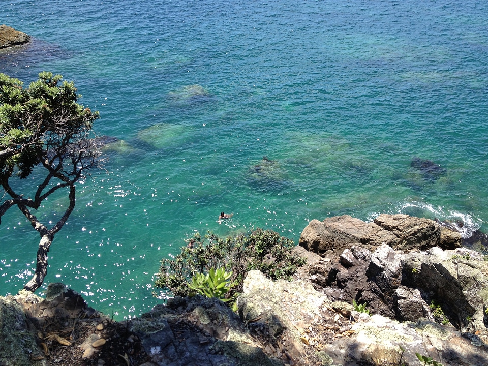 Rocky sunny swim