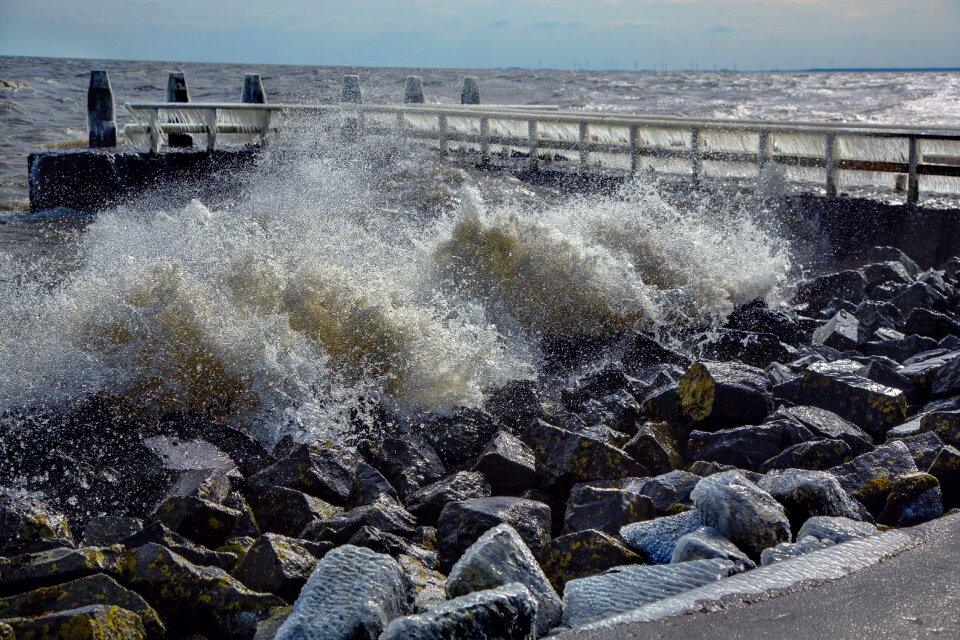 Wave sea the coast