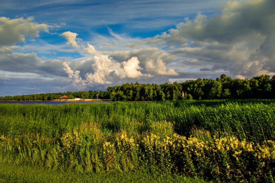 Cloud landscape peterhof