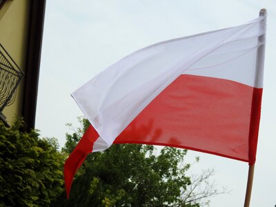 Polish flag picnic flag day photo