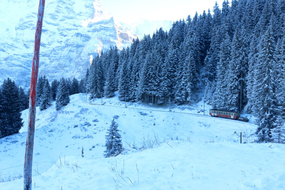 Wood frost mountain