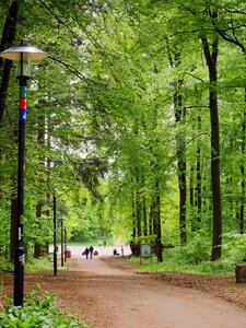 Parkweg illuminated lanterns photo