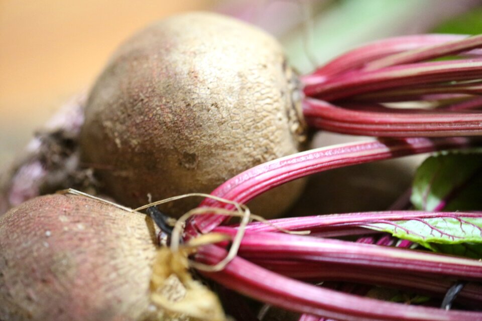Beets root vegetables