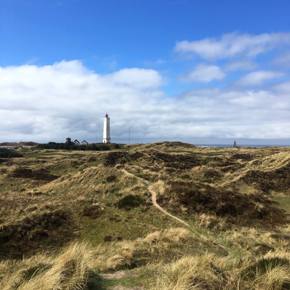 Grass denmark lighthouse