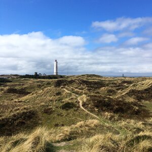 Grass denmark lighthouse photo