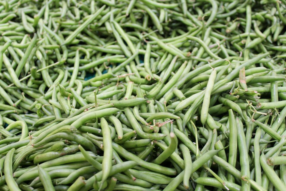 Legume healthy green