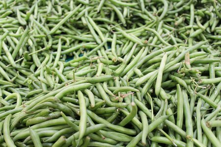 Legume healthy green photo