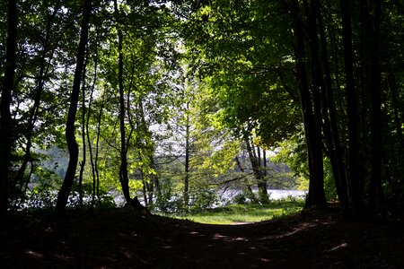 The sun poznan poland photo