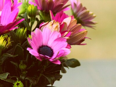 Summer garden floral