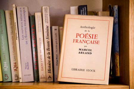 Poetry wisdom book